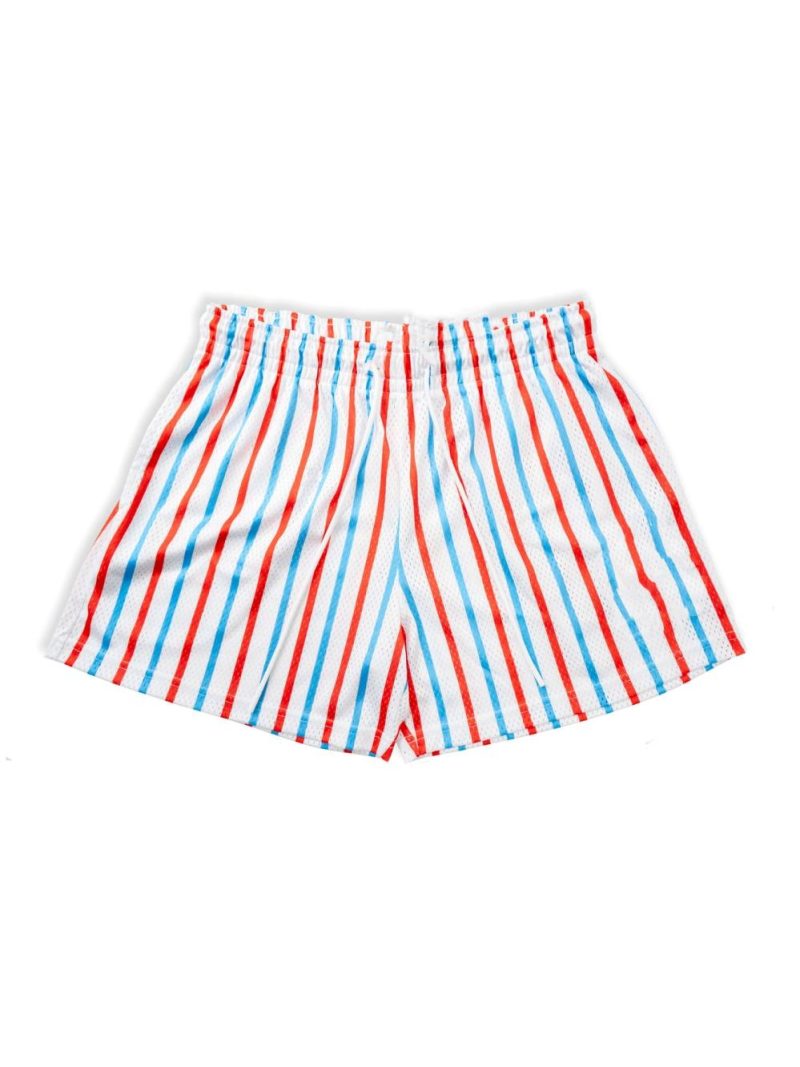 Womens Bottoms |  Arin Striped Mini Skirt Bottoms Bottoms